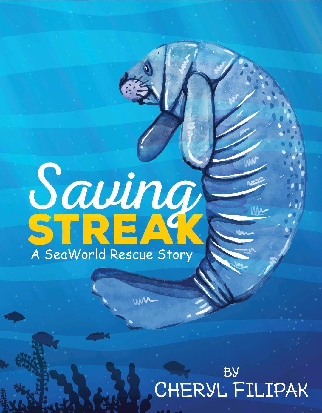 Saving Streak Cover Page